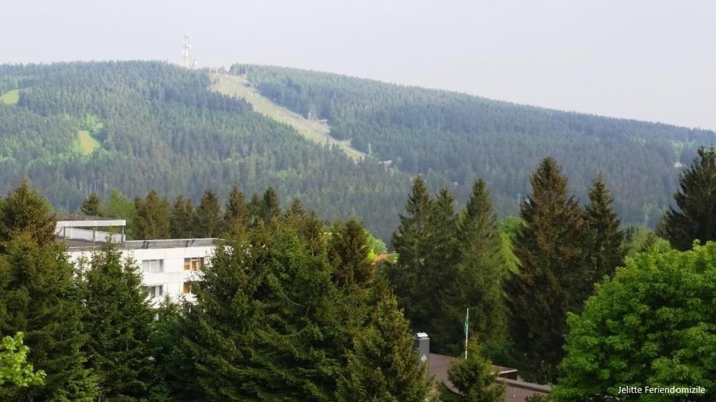 App 507 Bocksbergblick Im Ferienpark Hahnenklee Haus 1 Goslar Eksteriør billede