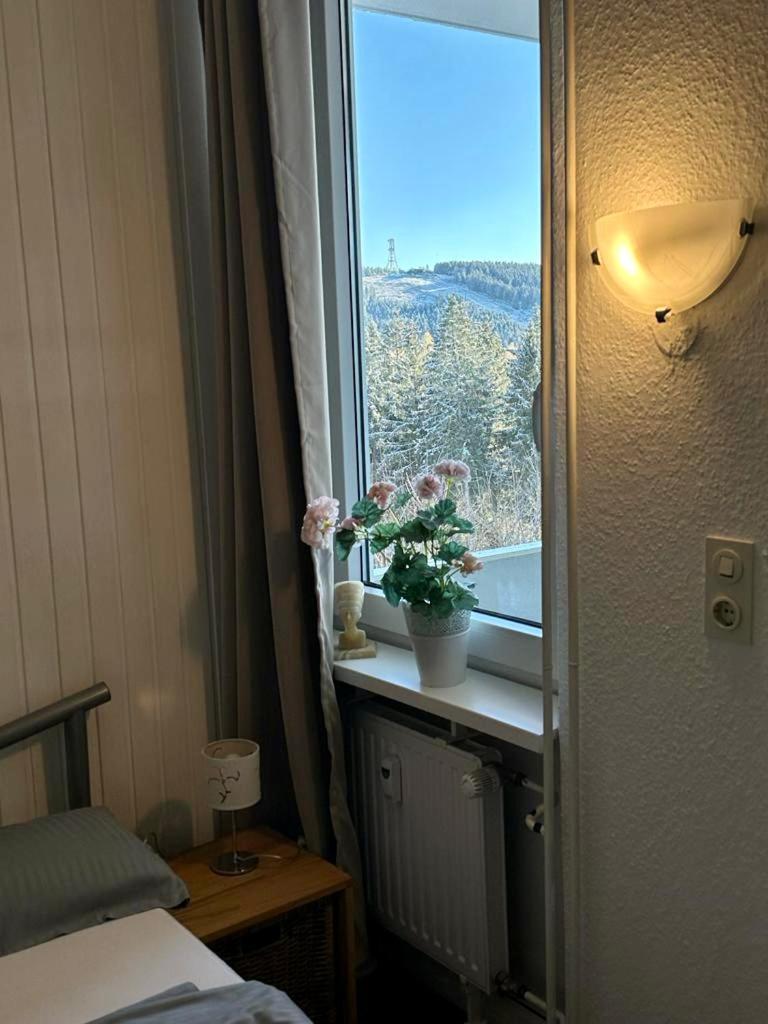 App 507 Bocksbergblick Im Ferienpark Hahnenklee Haus 1 Goslar Eksteriør billede