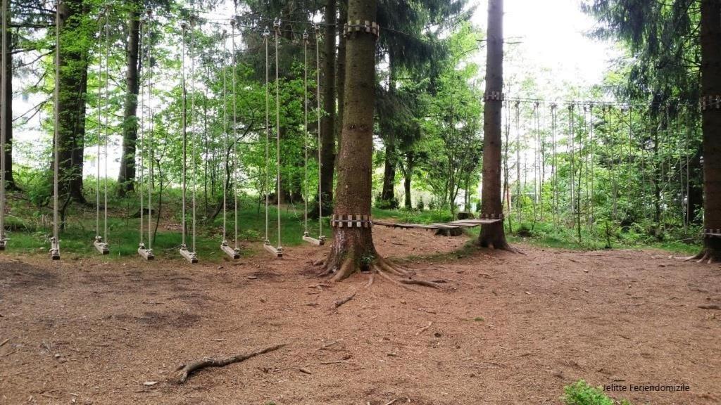 App 507 Bocksbergblick Im Ferienpark Hahnenklee Haus 1 Goslar Eksteriør billede